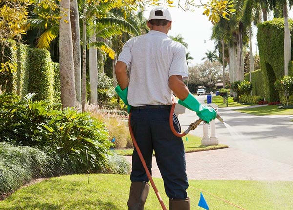 About Forest Dale VT Pest Control Pros